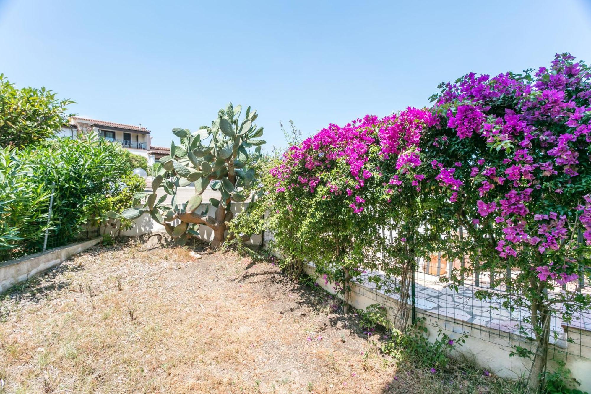 Apartment Le Farfalle 19 *