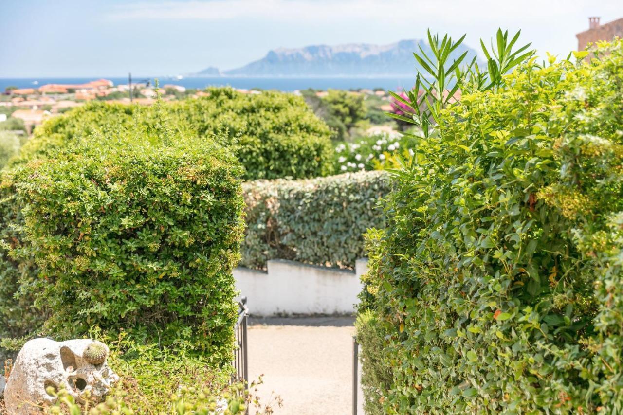 Le Farfalle 19 Apartment