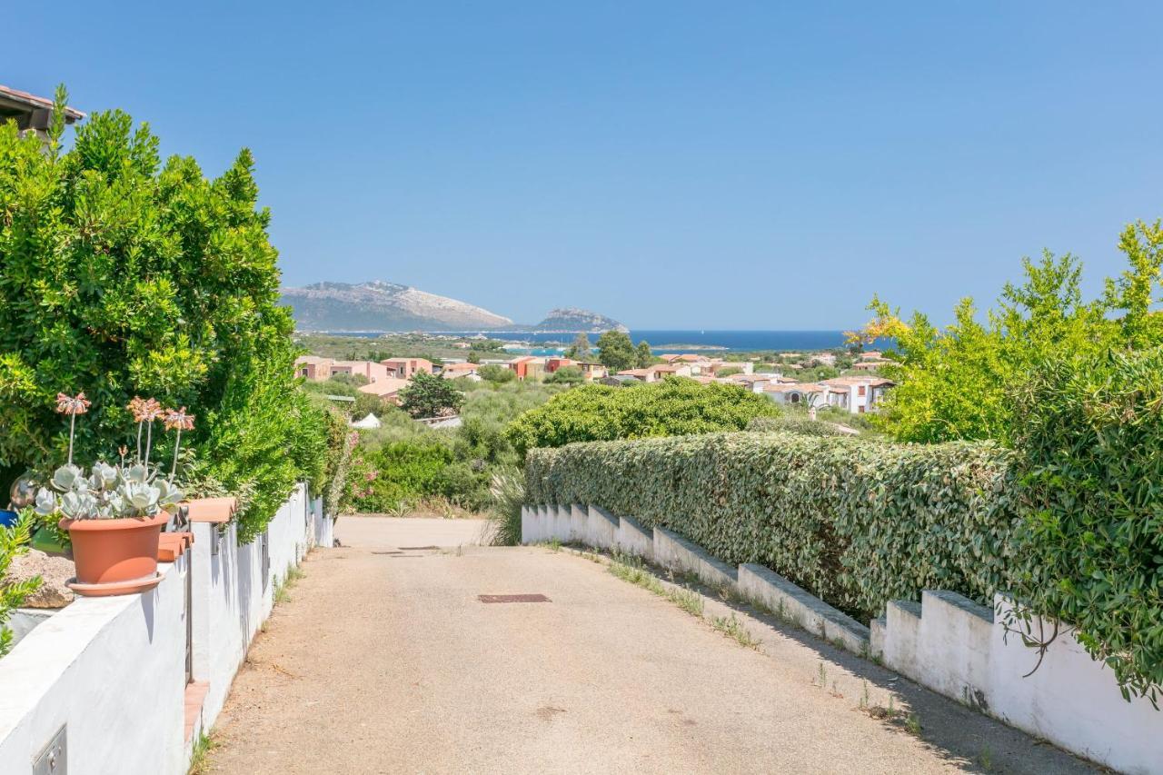 Le Farfalle 19 Apartment Olbia